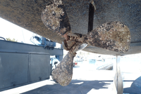 below waterline survey