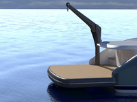 hydrailic platform with davit